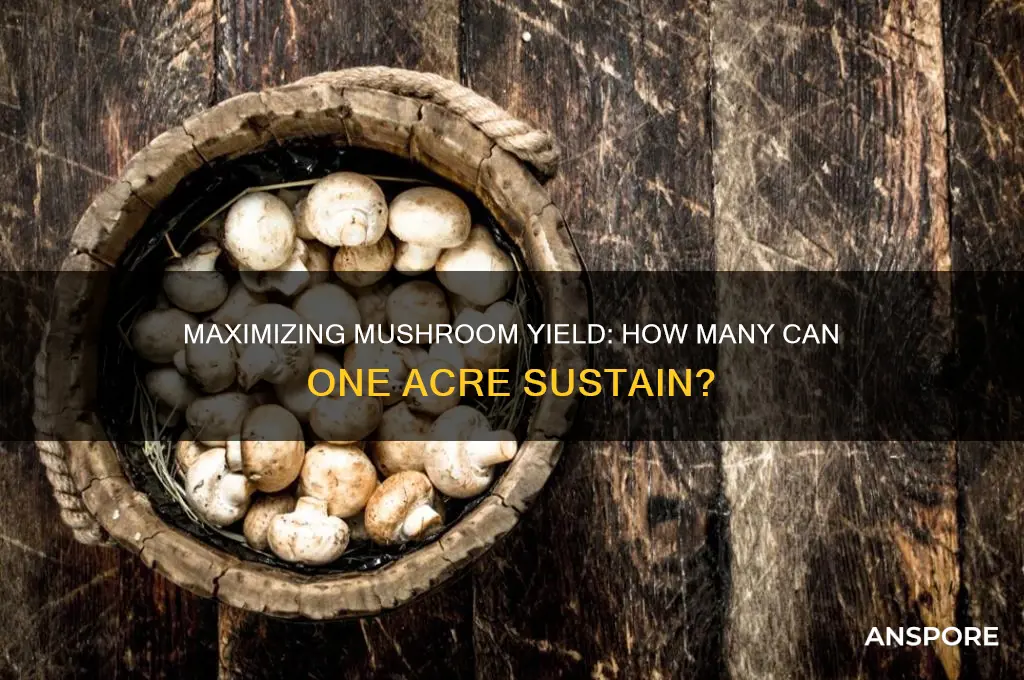 how many mushrooms can you grow in one acre