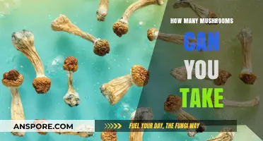 Safe Mushroom Dosage: How Many Can You Take Without Risk?