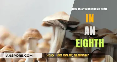 Mushroom Mystery: Understanding an Eighth