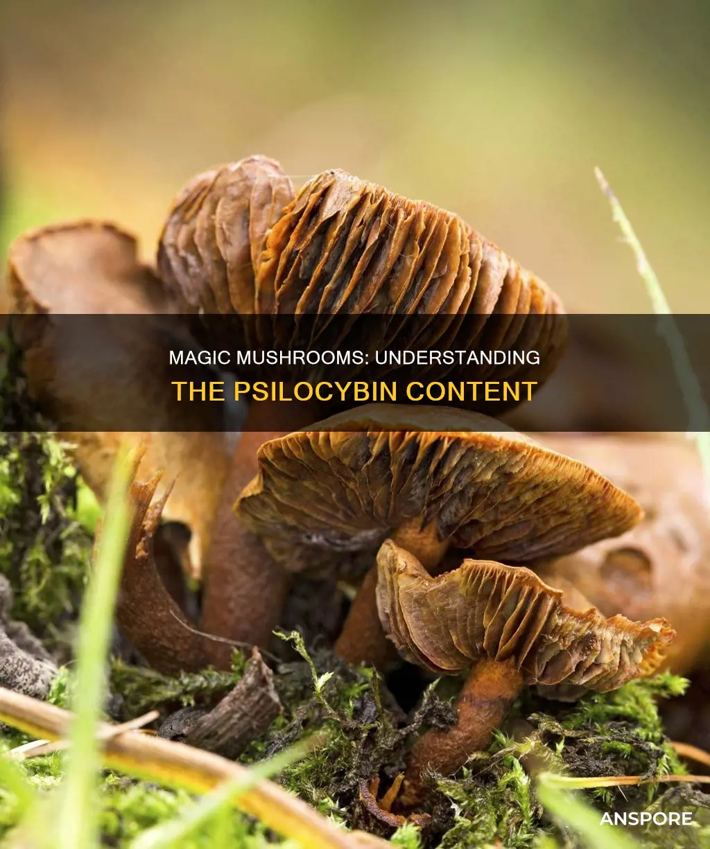 how many mushrooms contain psilocybin