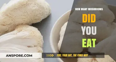 Exploring the Surprising Benefits and Risks of Your Mushroom Consumption