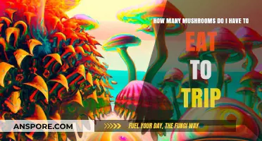 Exploring the Psychedelic Threshold: How Many Mushrooms Trigger a Trip?