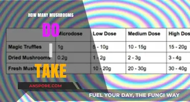 Tripping on Mushrooms: How Many to Take?