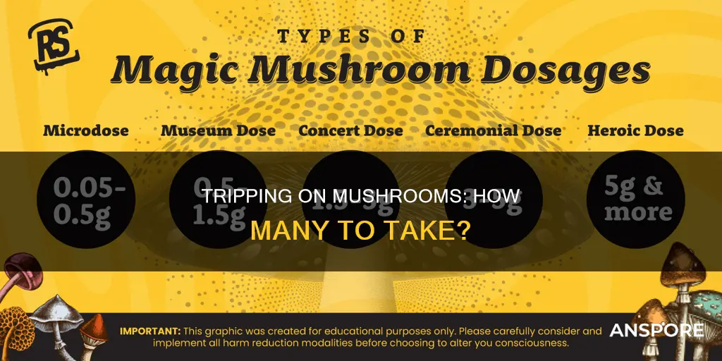 how many mushrooms do i take
