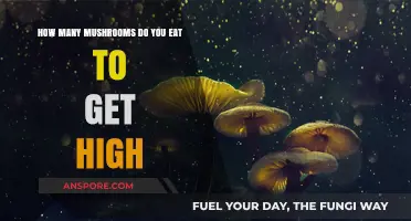 Exploring the Risky Practice of Consuming Mushrooms for a High