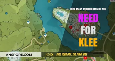 Gathering Mushrooms for Klee: How Many Do You Need?