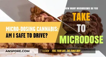 Microdosing Mushrooms: How Many to Take?