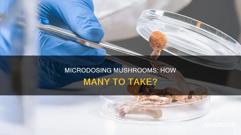 how many mushrooms do you take to microdose
