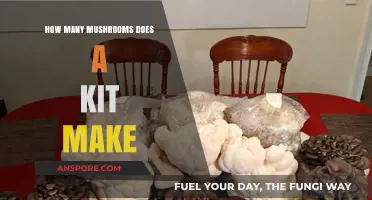 Maximizing Your Mushroom Harvest: Yield Expectations from a Grow Kit