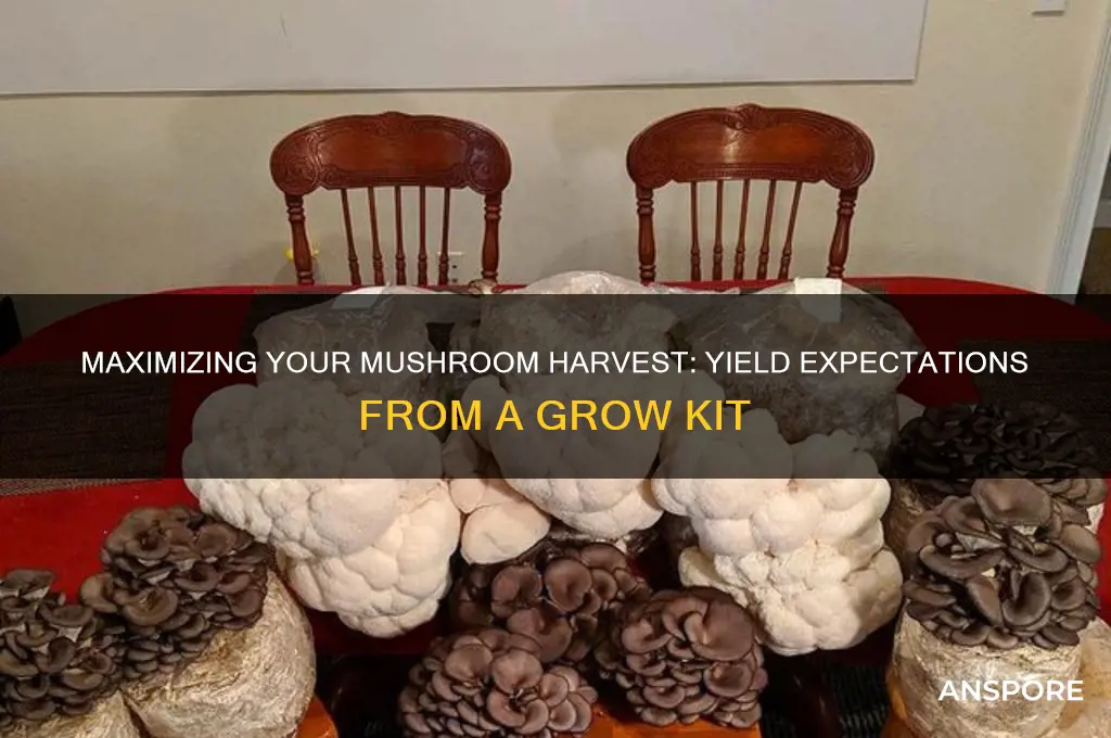 how many mushrooms does a kit make
