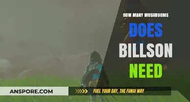 Billson's Mushroom Hunt: Finding the Perfect Number