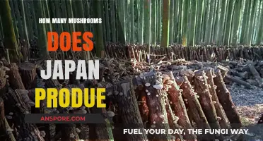 Mushroom Kingdom: Japan's Massive Mushroom Production