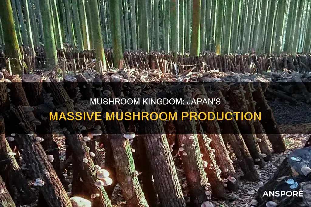 how many mushrooms does japan produe