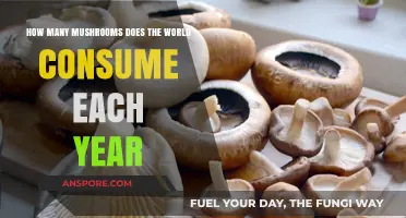 Mushroom Consumption: Global Appetite for Funghi