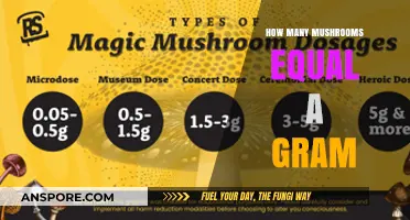 Weighing Out Mushroom Servings: How Many Equals a Gram?