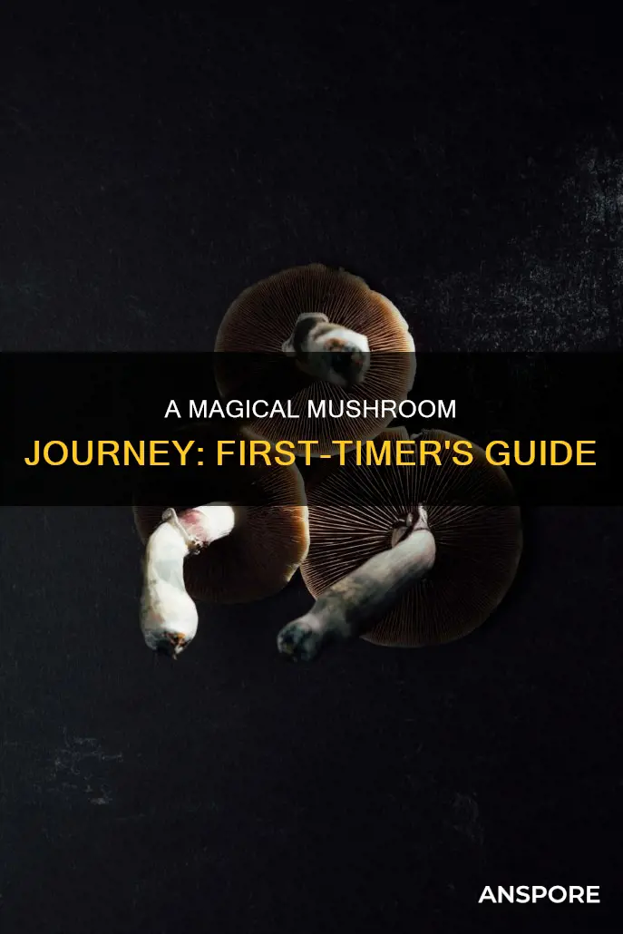 how many mushrooms first time