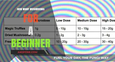 Start Your Mushroom Journey With a Handful