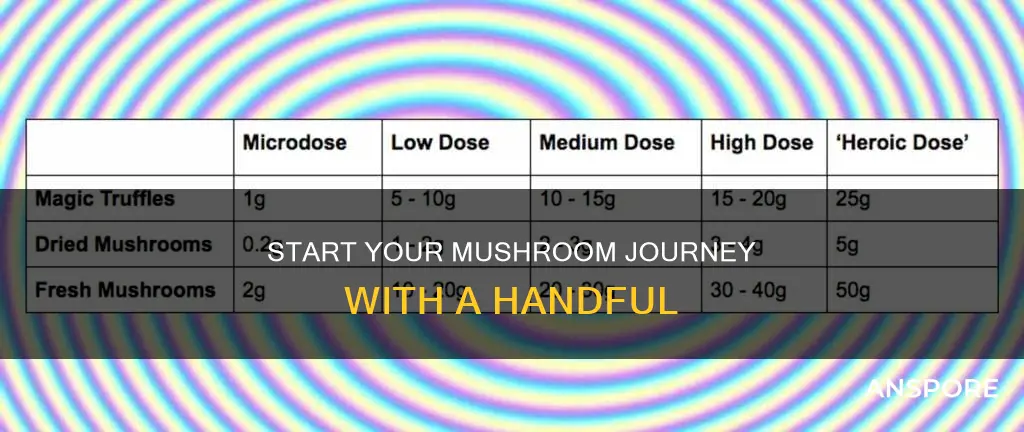 how many mushrooms for a beginner