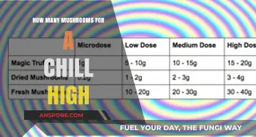 A Relaxing Mushroom Trip: How Many to Take?