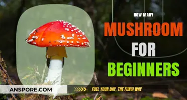 Start Your Mushroom Journey With a Handful