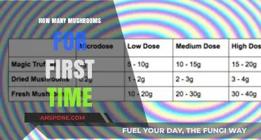Mushroom Tripping: A Beginner's Guide to Safe Dosage