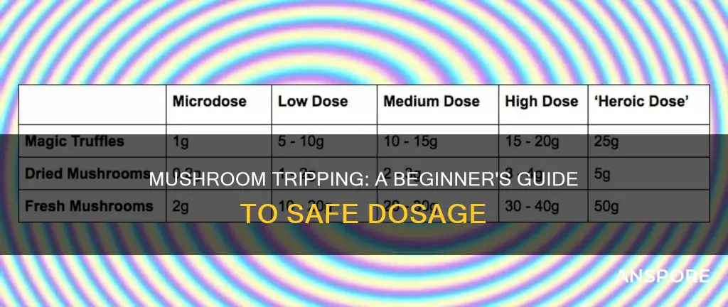 how many mushrooms for first time