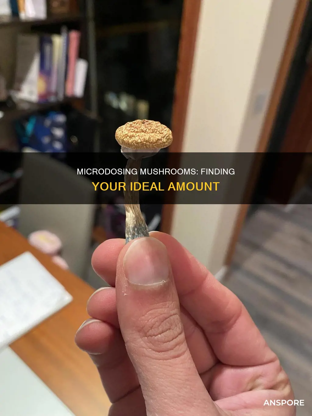 how many mushrooms for microdose
