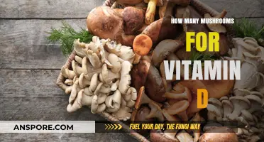 Mushroom Power: Vitamin D Source