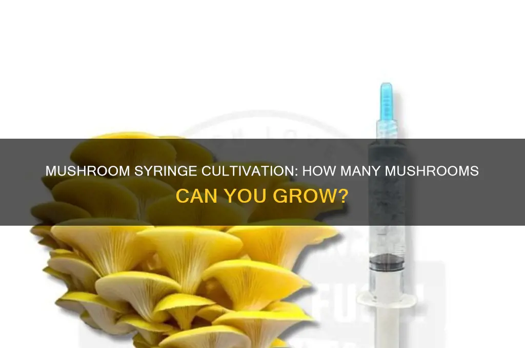 how many mushrooms grow from a syringe