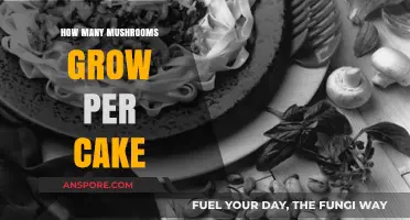 Maximizing Mushroom Yields: How Many Mushrooms Grow Per Cake?