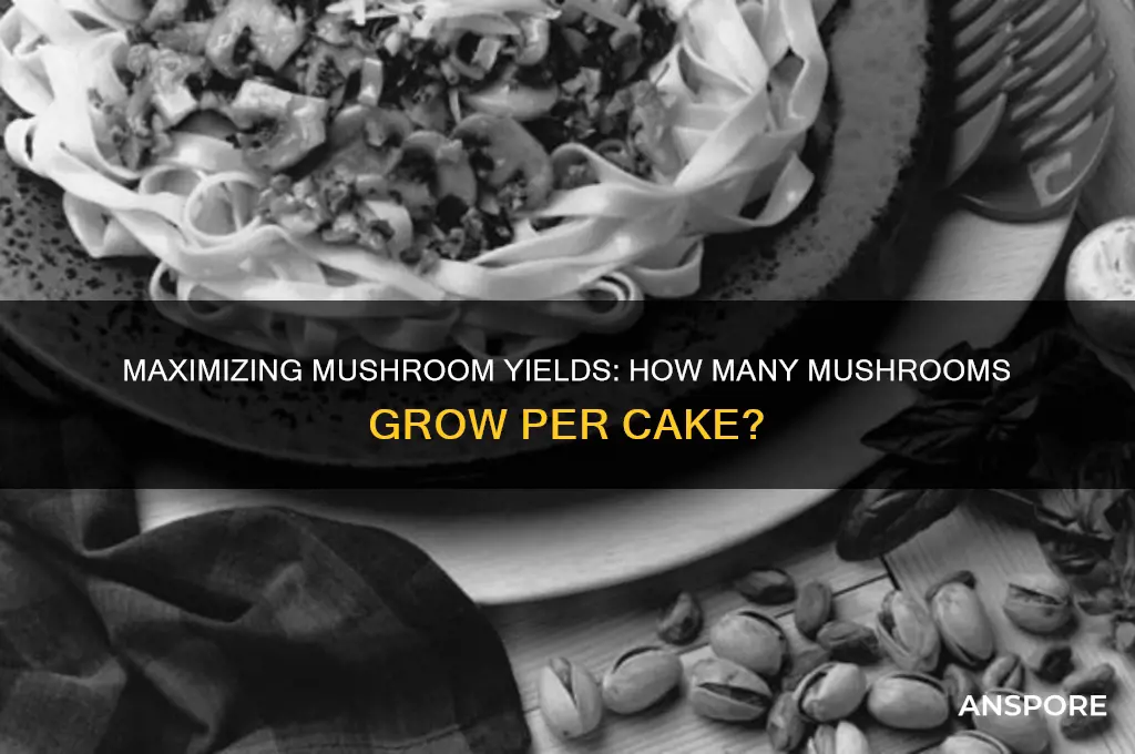 how many mushrooms grow per cake