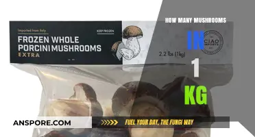 Mushroom Weight: How Many in One Kilogram?