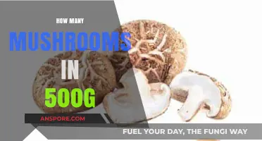 Weighing Mushrooms: 500g Contains How Many?