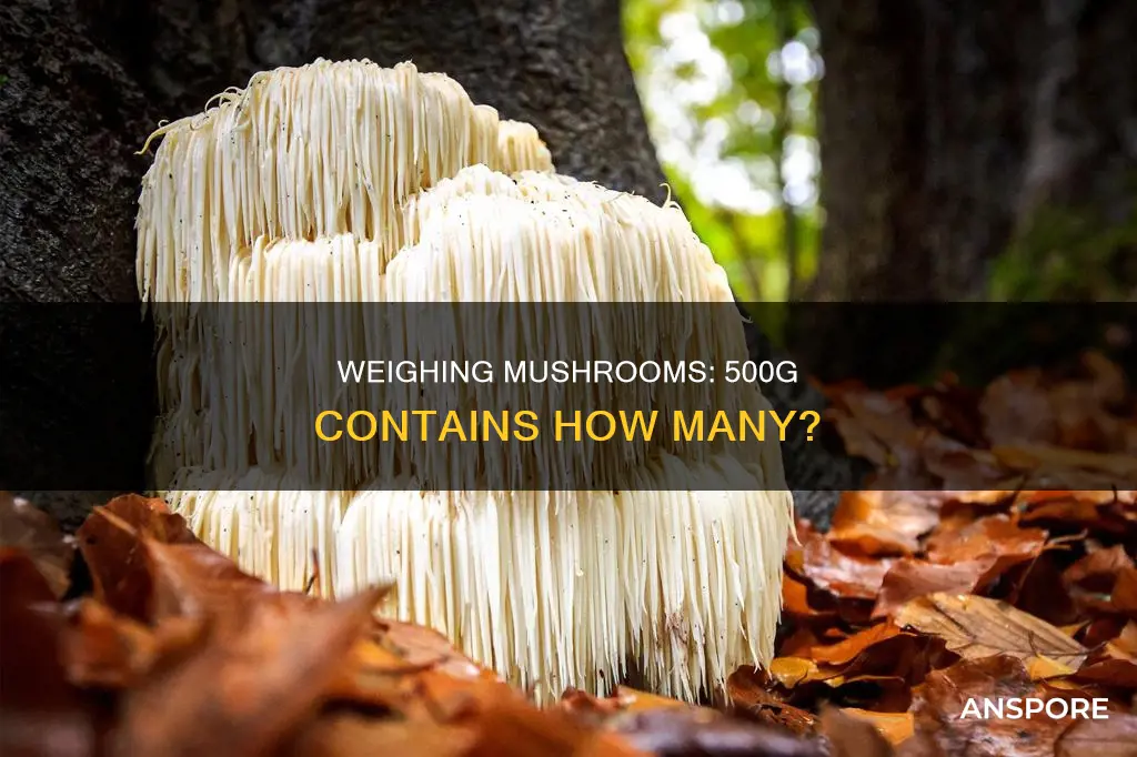 how many mushrooms in 500g