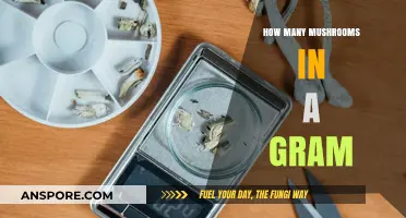 Measuring Mushrooms: Understanding the Quantity in a Single Gram