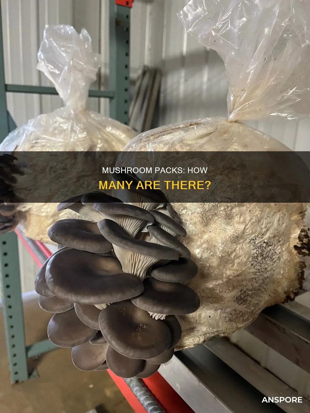 how many mushrooms in a pack