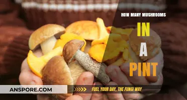 Mushroom Portion Control: Pint-Sized Precision