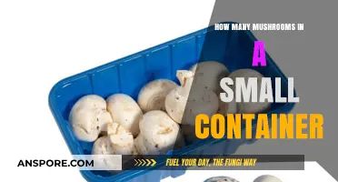 Mushroom Mystery: How Many in a Small Container?