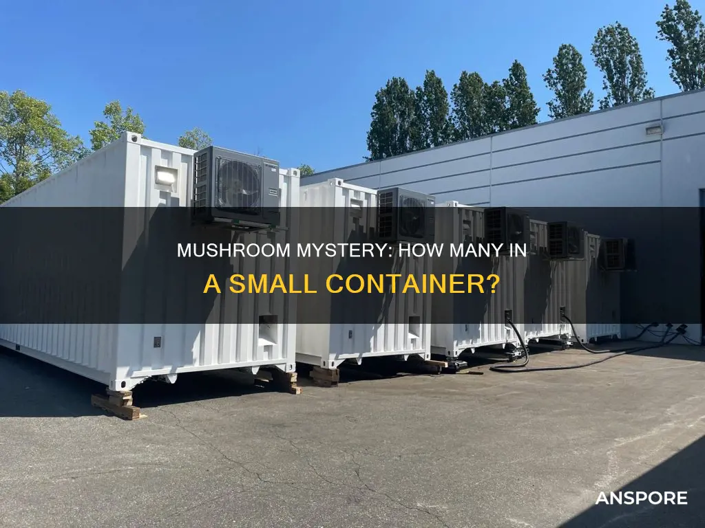 how many mushrooms in a small container