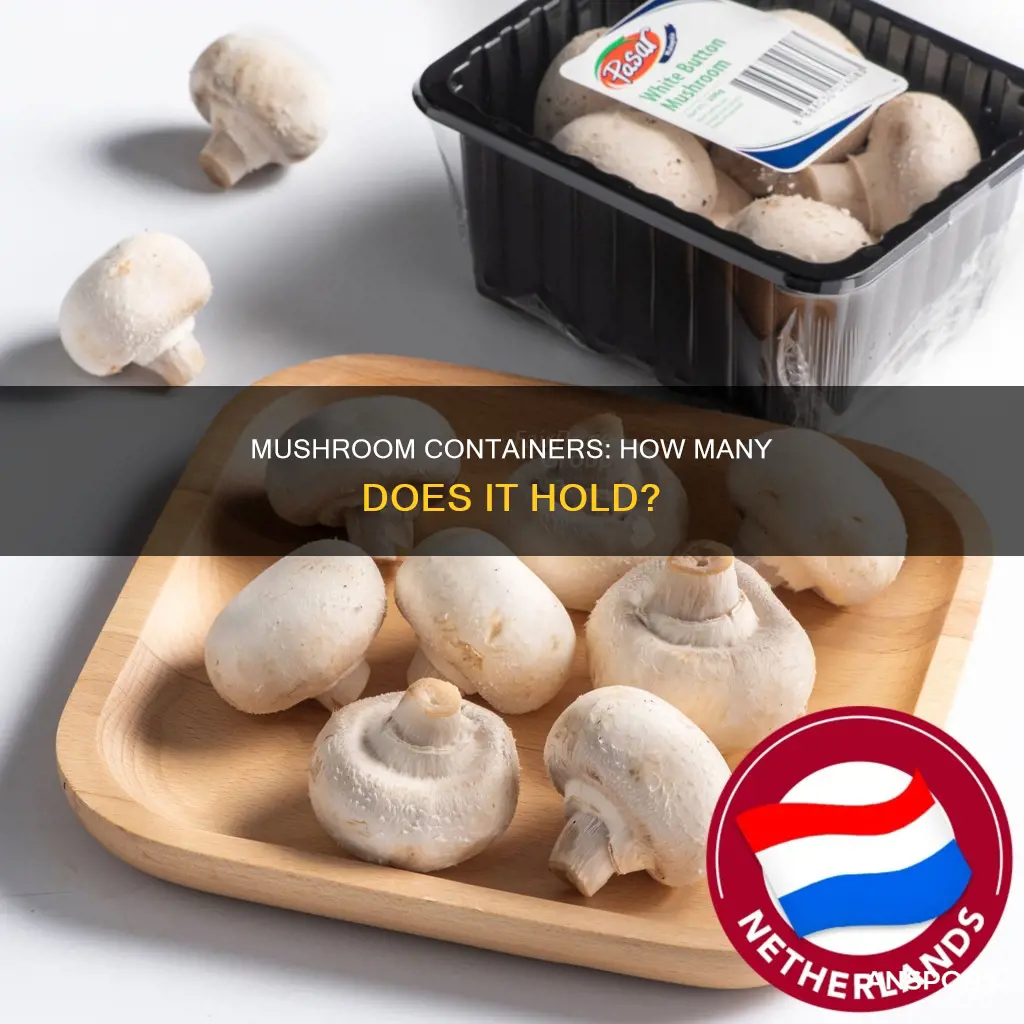 how many mushrooms in container