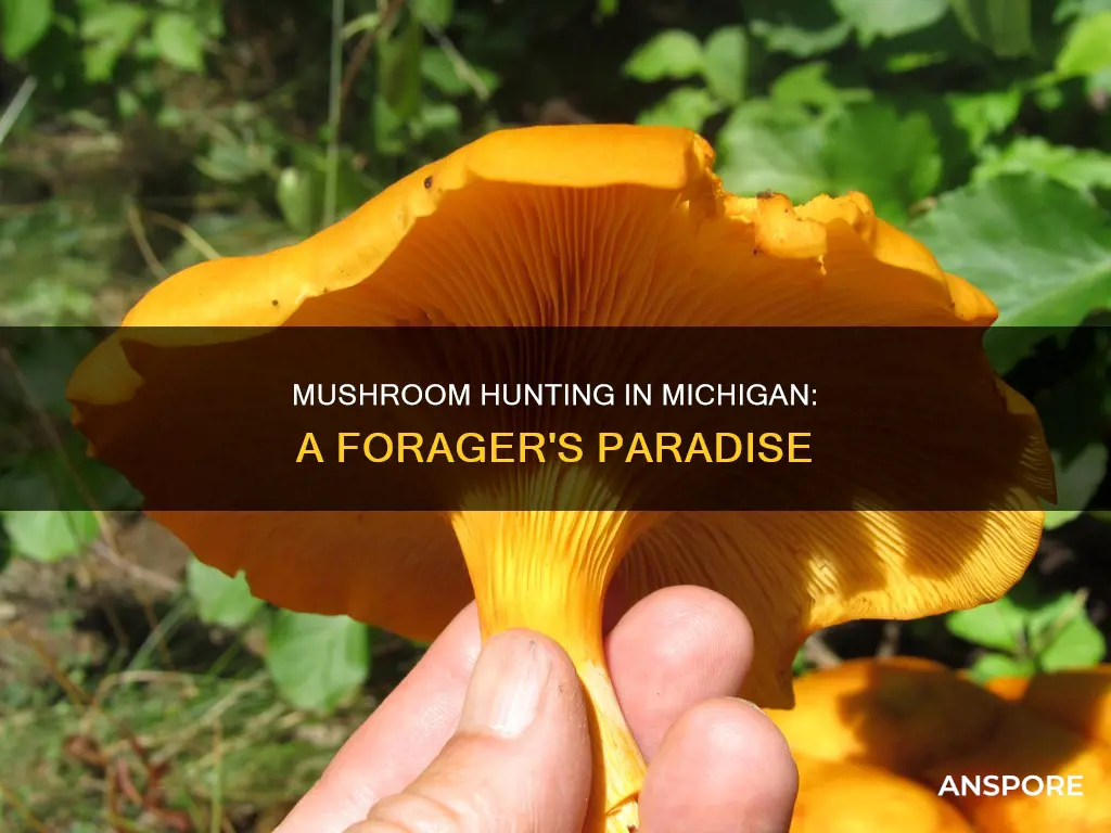 how many mushrooms in michigan