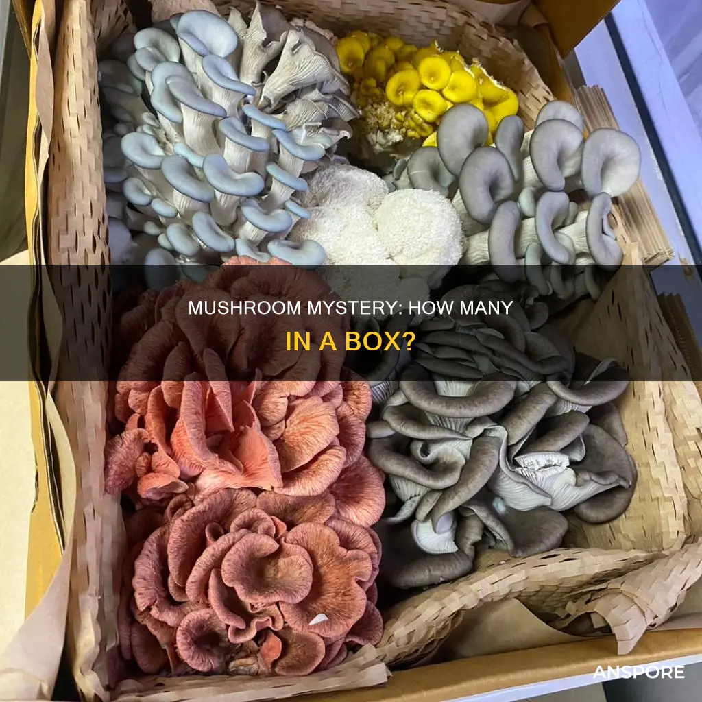 how many mushrooms in one box