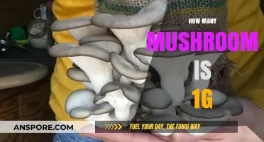 Weighing Magic Mushrooms: 1 Gram Equals How Many?