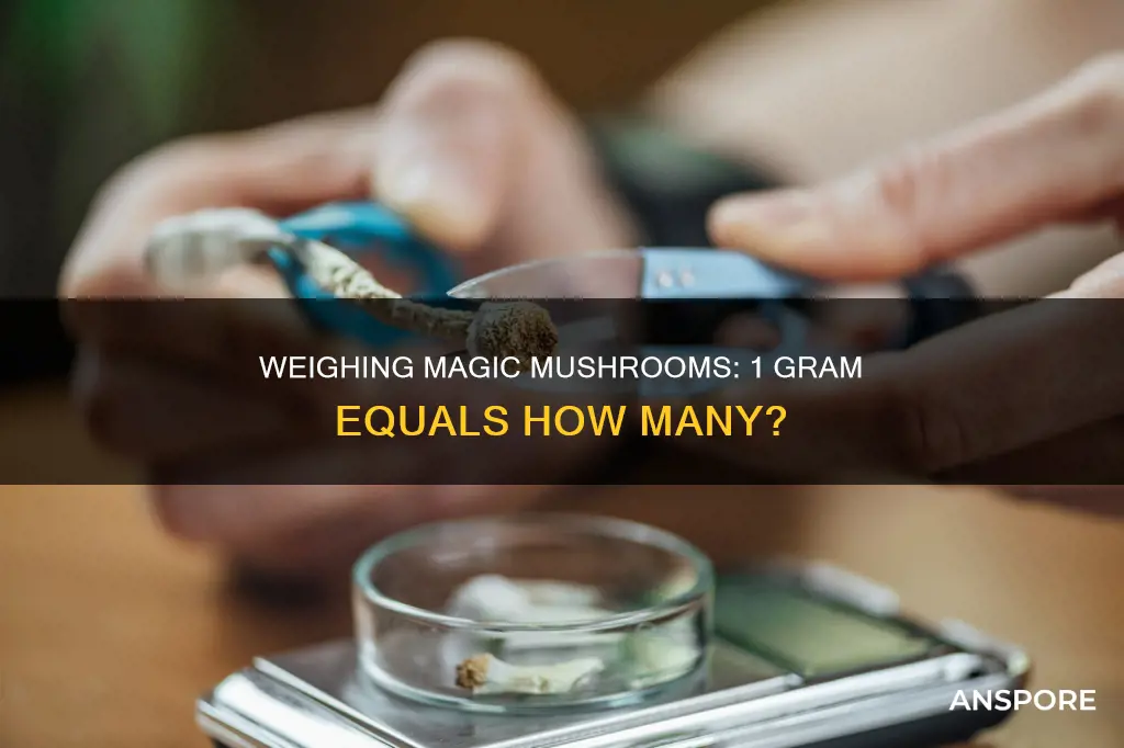 how many mushrooms is 1g