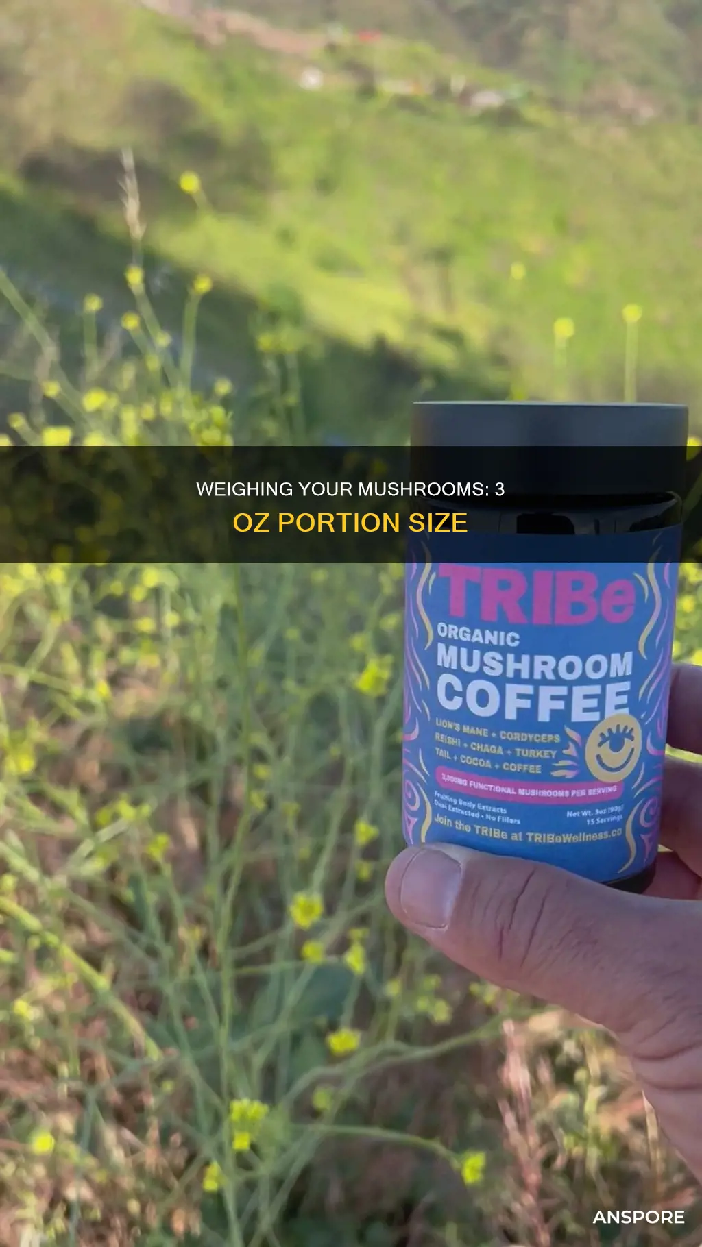 how many mushrooms is 3 oz