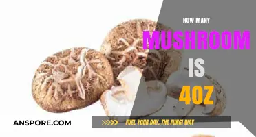 Weighing Mushrooms: Understanding 4 Ounces Visually