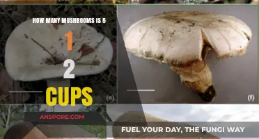Cooking with Mushrooms: Converting Cups to Quantity