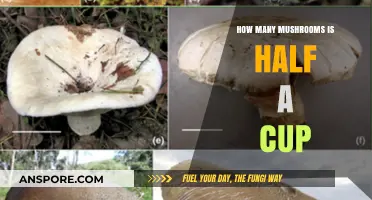 Measuring Mushrooms: Half-Cup Equivalent