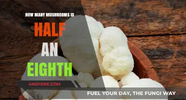 Weighing Up Your Magic Mushroom Trip