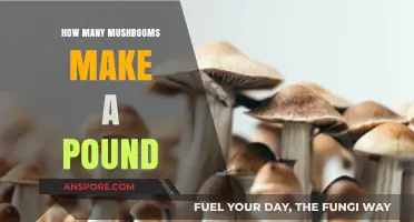 Mushroom Weights Explained: How Many Mushrooms Equal a Pound?